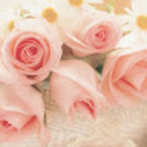 Meet your Posher, Zhang